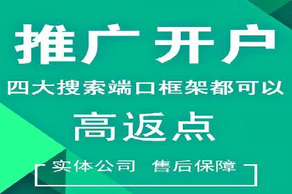 某某sem代运营公司：精准投放的背后策略